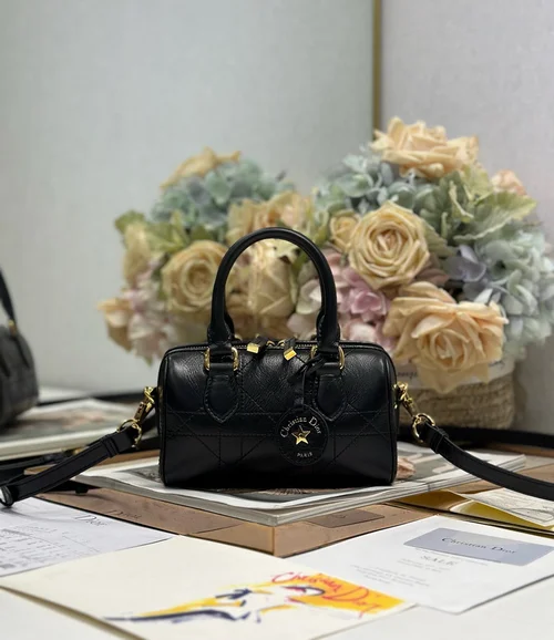 Dior Original Groove Medium Shoulder Bag Authentic Luxury