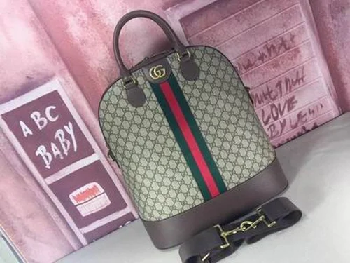 11 Gucci Original Backpack Large Authentic GG Canvas Luxury