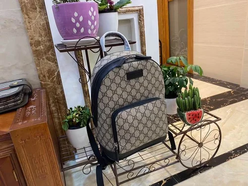 11 Gucci Original Backpack Large Authentic GG Canvas Luxury