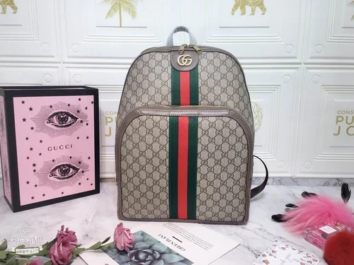 11 Gucci Original Backpack Large Authentic GG Canvas Luxury