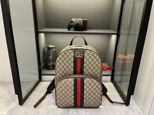 11 Gucci Original Backpack Large Authentic GG Canvas Luxury