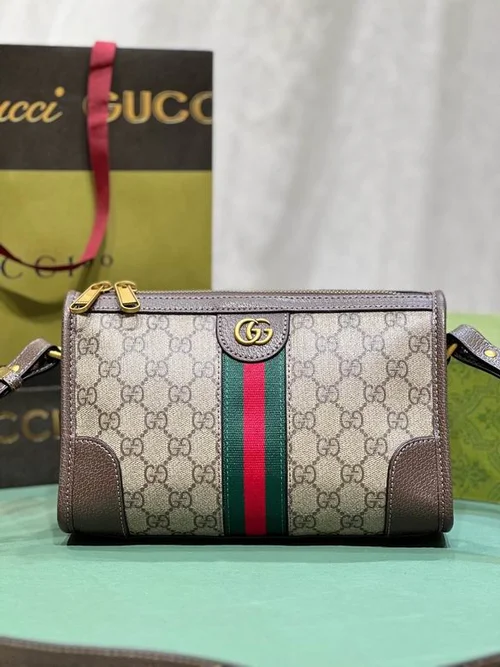 11 Gucci Women's Designer Bags Hot Collection Luxury GG Canvas