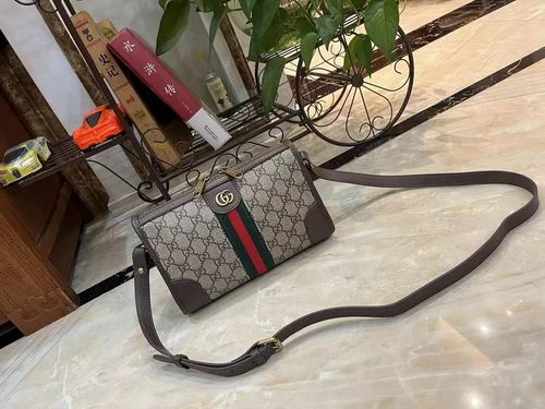 11 Gucci Women's Designer Bags Hot Collection Luxury GG Canvas