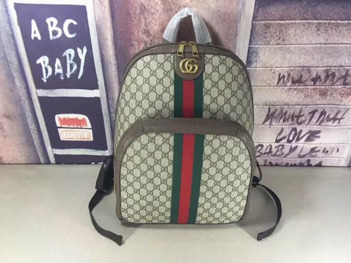 11 Gucci Women's Designer Bags Hot Collection Luxury GG Canvas