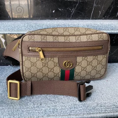 11 Gucci Women's Designer Bags Hot Collection Luxury GG Canvas