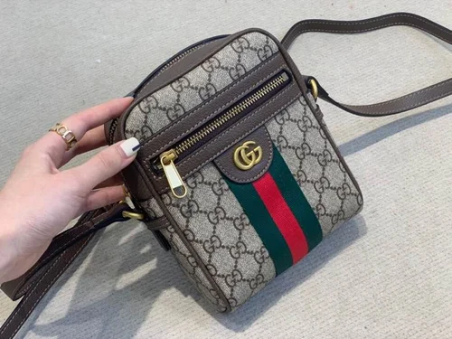11 Gucci Women's Designer Bags Hot Collection Luxury GG Canvas