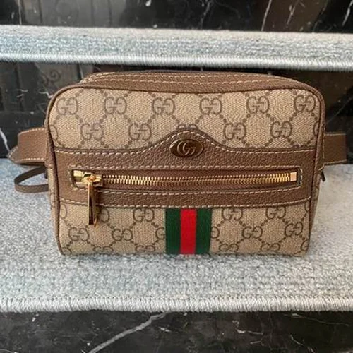 11 Gucci Women's Designer Bags Hot Collection Luxury GG Canvas