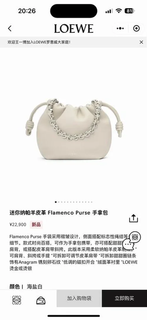 Loewe Original Underarm Bag Authentic Anagram Leather