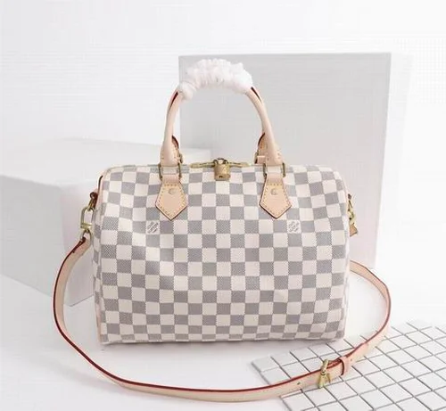 11 Louis Vuitton Original Handbags Authentic Monogram Collection