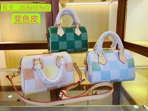 11 Louis Vuitton Original Handbags Authentic Monogram Collection