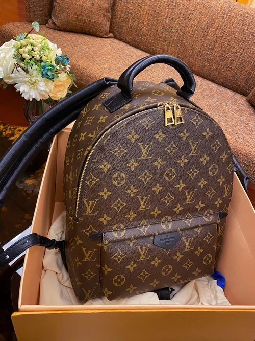 Louis Vuitton Original Backpack Authentic Monogram Canvas Luxury