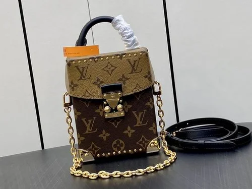 Louis Vuitton Original Camera Box Bag Authentic Monogram