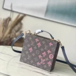 Louis Vuitton Original Camera Box Bag Authentic Monogram