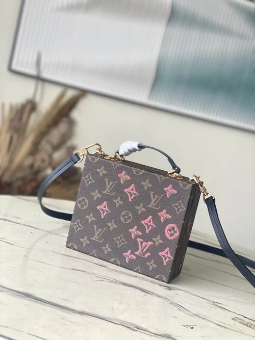 Louis Vuitton Original Camera Box Bag Authentic Monogram