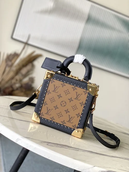 Louis Vuitton Original Camera Box Bag Authentic Monogram