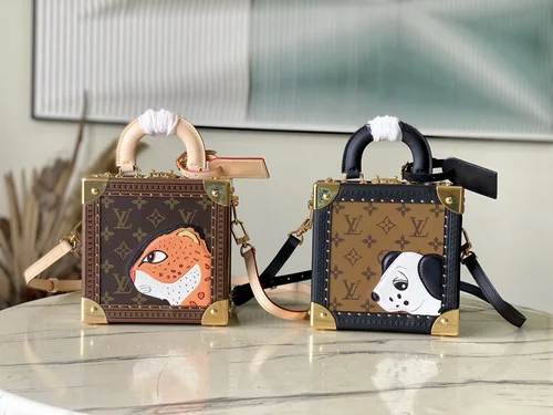 Louis Vuitton Original Camera Box Bag Authentic Monogram