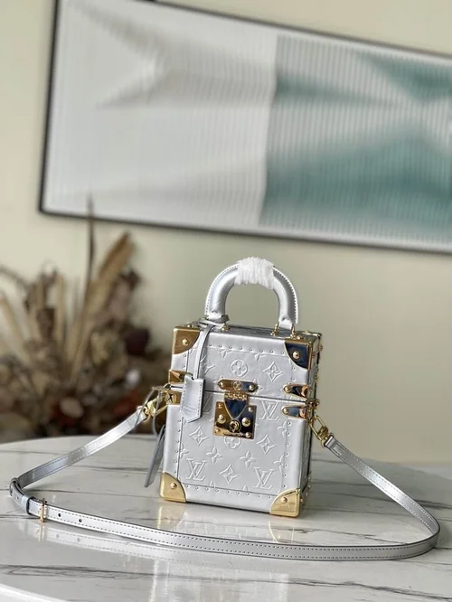 Louis Vuitton Original Camera Box Bag Authentic Monogram