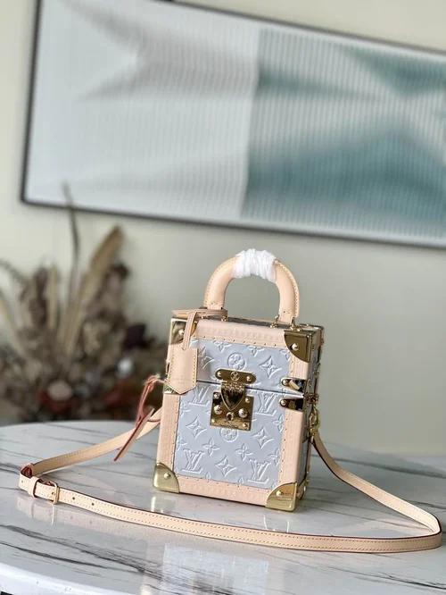 Louis Vuitton Original Camera Box Bag Authentic Monogram