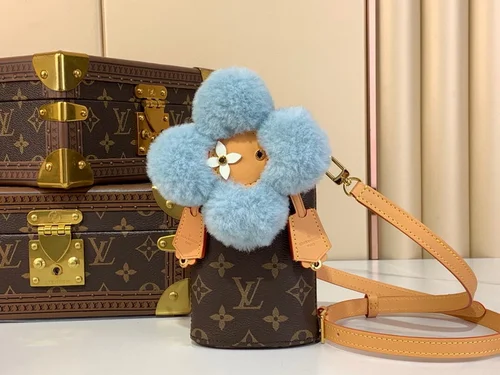 Louis Vuitton Original Camera Box Bag Authentic Monogram