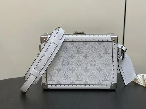 Louis Vuitton Original Camera Box Bag Authentic Monogram