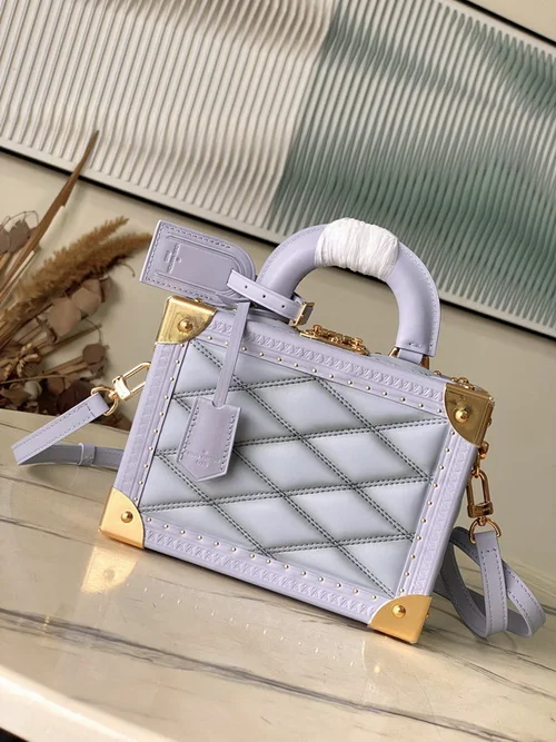 Louis Vuitton Original Camera Box Bag Authentic Monogram