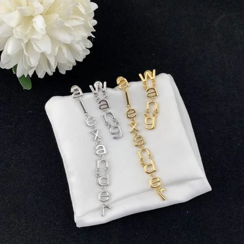 Alexander Wang Jewelry Alexander Wang earring