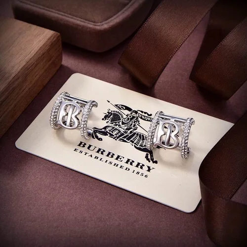BurBerry Jewelry Burberry Earring