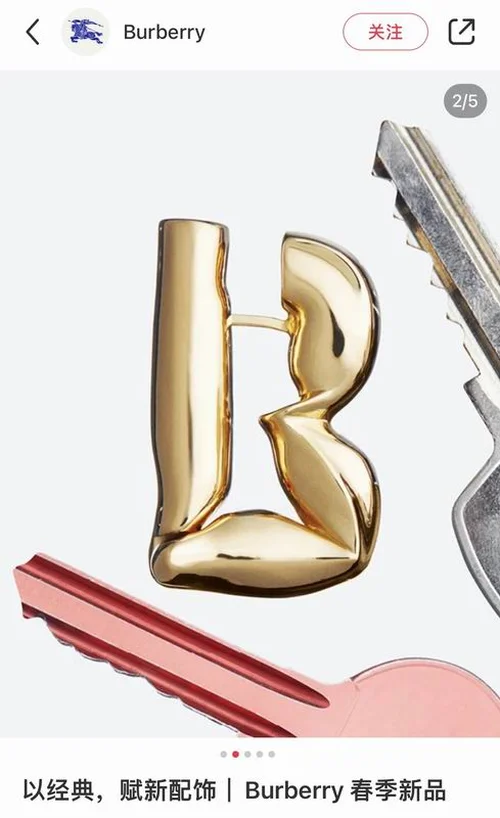 BurBerry Jewelry Burberry Earring