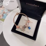 Jewelry Pandora Bracelet
