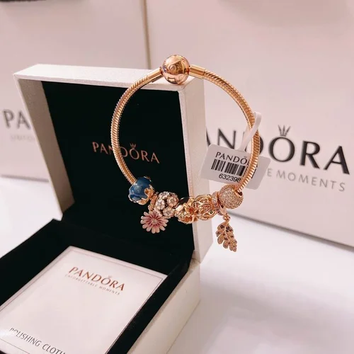 Jewelry Pandora Bracelet