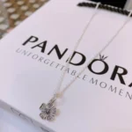 Jewelry Pandora necklace