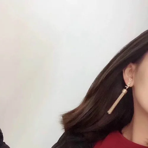 YSL Jewelry YSL earring