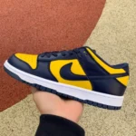 Nike Dunk Low Michigan DD1391-700