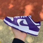 Nike Dunk Retro Court Purple White Purple DD1391-104
