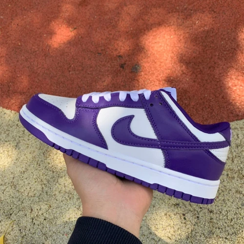 Nike Dunk Retro Court Purple White Purple DD1391-104