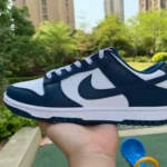 Nike Dunk Low Retro Valerian Blue White Navy DD1391-400