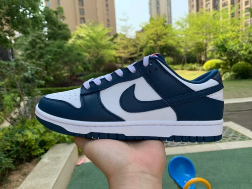 Nike Dunk Low Retro Valerian Blue White Navy DD1391-400