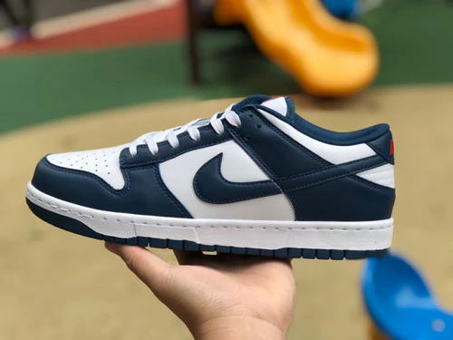 Nike Dunk Low Retro Valerian Blue White Navy DD1391-400