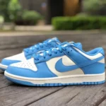 Nike Dunk Low North Carolina White Blue DD1503-100