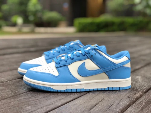 Nike Dunk Low North Carolina White Blue DD1503-100