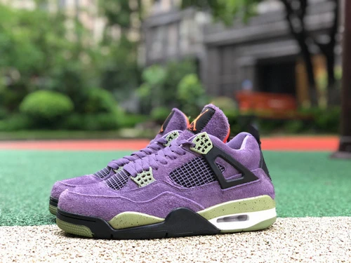 Air Jordan 4 Canyon Purple Purple AQ9129-500