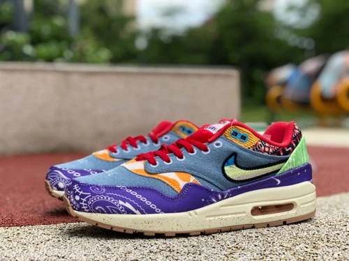 Nike Air Max 1 SP Concepts Far Out DN1803-500