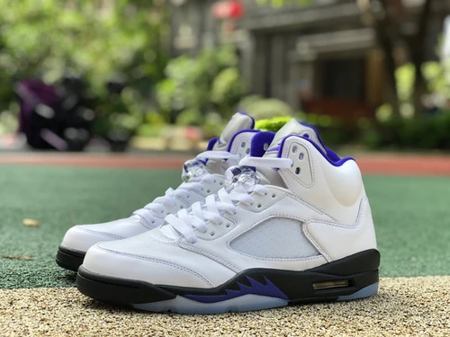 Air Jordan 5 Concord DD0587-141
