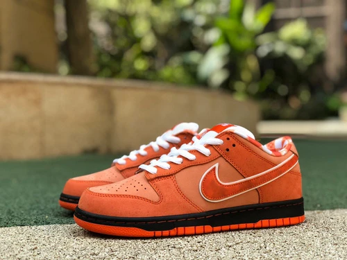 Nike Dunk SB Orange Lobster FD8776-800