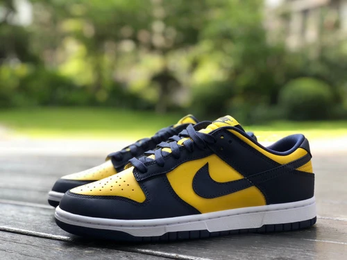 Nike Dunk Low Michigan DD1391-700