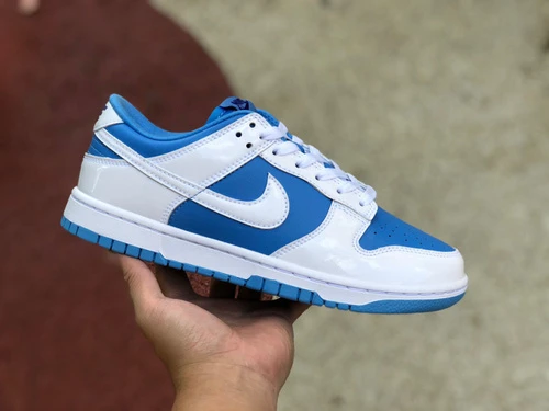 Nike Dunk Low Reverse North Carolina White Blue DJ9955-101