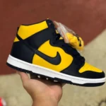 Nike Dunk High Michigan 2020 Retro CZ8149-700