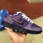 Nike SB Dunk Purple Lobster BV1310-555