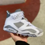 Air Jordan 6 Cool Grey CT8529-100