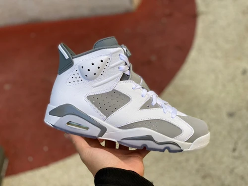 Air Jordan 6 Cool Grey CT8529-100